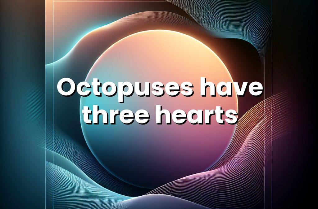 Octopuses have three hearts